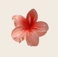 Haarclip Flowerly - Rood